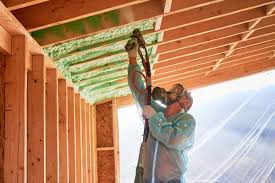 Best Commercial Insulation Services  in Lansing, KS